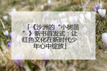 《沙洲的“小树苗”》新书首发式：让红色文化在新时代少年心中绽放