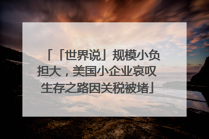 「世界说」规模小负担大，美国小企业哀叹生存之路因关税被堵