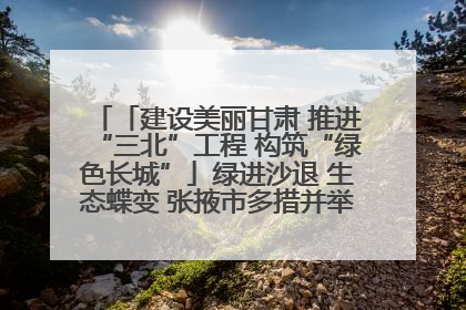 「建设美丽甘肃 推进“三北”工程 构筑“绿色长城”」绿进沙退 生态蝶变 张掖市多措并举加大防沙治沙力度