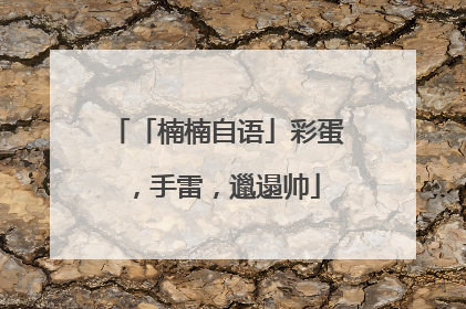 「楠楠自语」彩蛋，手雷，邋遢帅