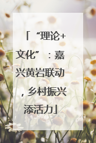 “理论+文化”：嘉兴黄岩联动，乡村振兴添活力
