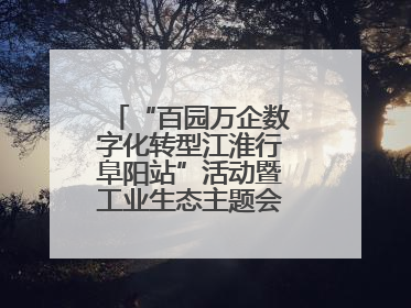 “百园万企数字化转型江淮行阜阳站”活动暨工业生态主题会议成功举办