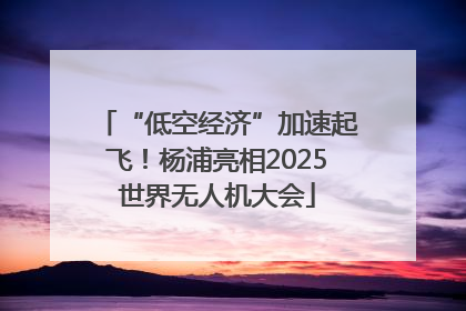 “低空经济”加速起飞！杨浦亮相2025世界无人机大会