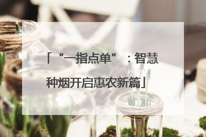 “一指点单”：智慧种烟开启惠农新篇