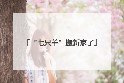 “七只羊”搬新家了