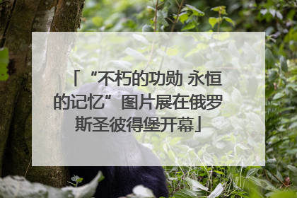 “不朽的功勋 永恒的记忆”图片展在俄罗斯圣彼得堡开幕
