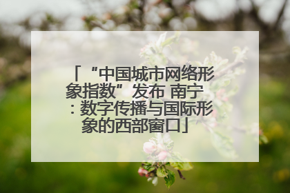 “中国城市网络形象指数”发布 南宁：数字传播与国际形象的西部窗口