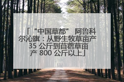 “中国草都” 阿鲁科尔沁旗：从野生牧草亩产 35 公斤到苜蓿草亩产 800 公斤以上