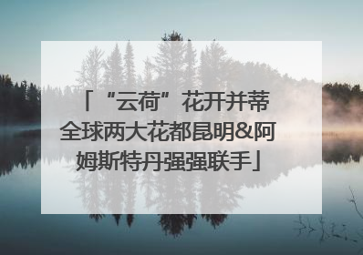 “云荷”花开并蒂 全球两大花都昆明&阿姆斯特丹强强联手