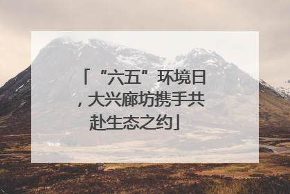 “六五”环境日，大兴廊坊携手共赴生态之约