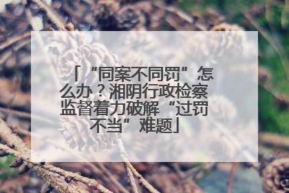 “同案不同罚”怎么办？湘阴行政检察监督着力破解“过罚不当”难题