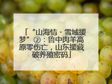 “山海情・雪域援梦”②：鲁中肉羊高原零伤亡，山东援藏破养殖密码