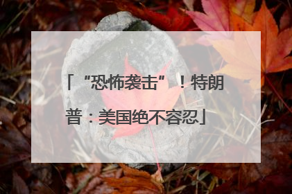 “恐怖袭击”！特朗普：美国绝不容忍
