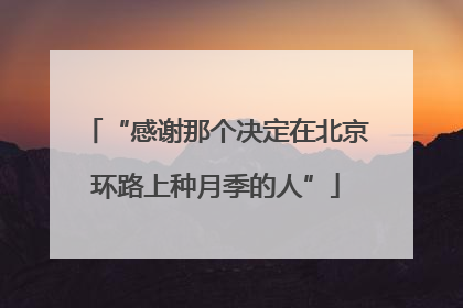 “感谢那个决定在北京环路上种月季的人”