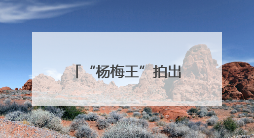 “杨梅王”拍出6.6万！建阳首届小湖杨梅嘉年华酸甜出圈！