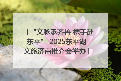 “文脉承齐鲁 携手赴东平” 2025东平湖文旅济南推介会举办