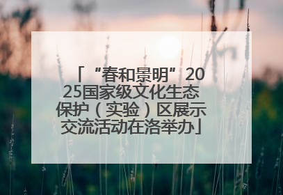 “春和景明”2025国家级文化生态保护（实验）区展示交流活动在洛举办