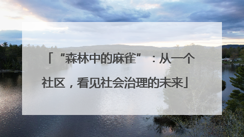 “森林中的麻雀”：从一个社区，看见社会治理的未来