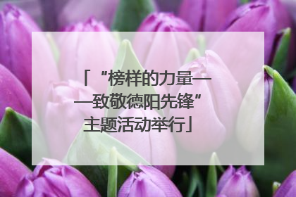 “榜样的力量——致敬德阳先锋”主题活动举行