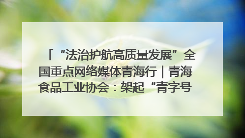 “法治护航高质量发展”全国重点网络媒体青海行｜青海食品工业协会：架起“青字号”美食的产业化桥梁