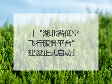 “湖北省低空飞行服务平台”建设正式启动