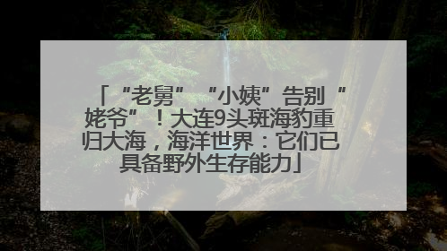 “老舅”“小姨”告别“姥爷”！大连9头斑海豹重归大海，海洋世界：它们已具备野外生存能力