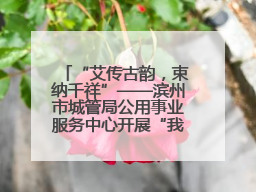 “艾传古韵，束纳千祥”——滨州市城管局公用事业服务中心开展“我们的节日·端午”艾草花束制作主题活动