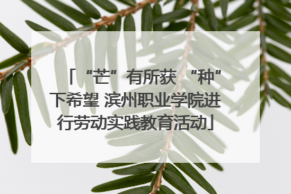 “芒”有所获 “种”下希望 滨州职业学院进行劳动实践教育活动