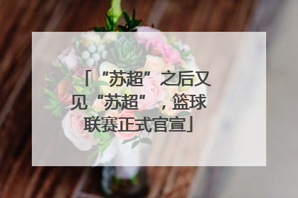 “苏超”之后又见“苏超”，篮球联赛正式官宣