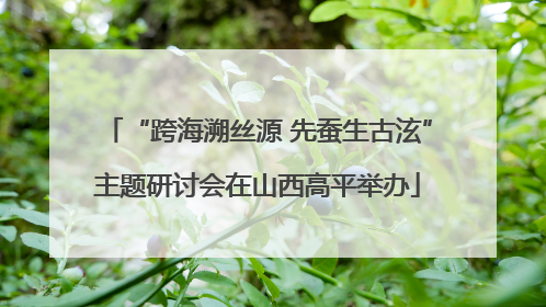 “跨海溯丝源 先蚕生古泫”主题研讨会在山西高平举办