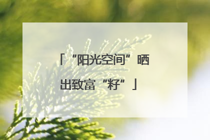 “阳光空间”晒出致富“籽”