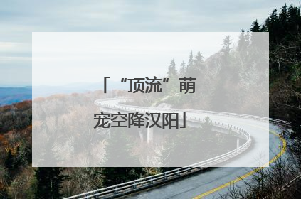 “顶流”萌宠空降汉阳