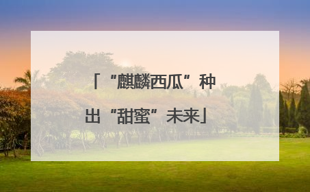 “麒麟西瓜”种出“甜蜜”未来