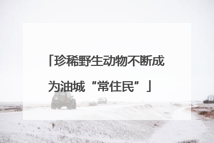 珍稀野生动物不断成为油城“常住民”