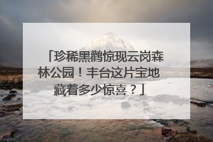 珍稀黑鹳惊现云岗森林公园！丰台这片宝地藏着多少惊喜？