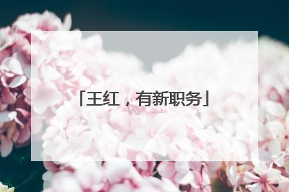 王红，有新职务