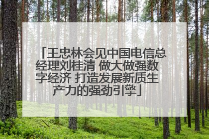 王忠林会见中国电信总经理刘桂清 做大做强数字经济 打造发展新质生产力的强劲引擎