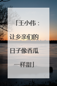 王小伟：让乡亲们的日子像香瓜一样甜