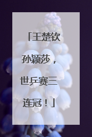 王楚钦孙颖莎，世乒赛三连冠！