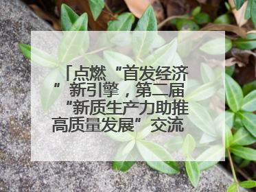 点燃“首发经济”新引擎，第二届“新质生产力助推高质量发展”交流会在成都举行