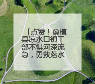 点赞！桑植县凉水口镇干部不惧河深流急，勇救落水人车