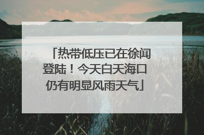 热带低压已在徐闻登陆！今天白天海口仍有明显风雨天气