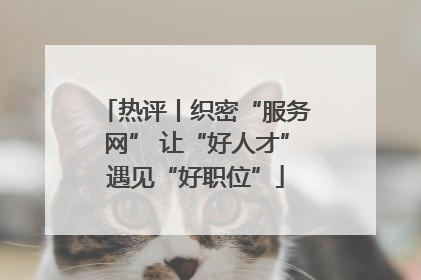 热评丨织密“服务网” 让“好人才”遇见“好职位”
