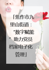焦作市九里山街道：“数字赋能”助力党员档案电子化管理