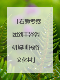 石狮考察团到丰泽调研蟳埔民俗文化村