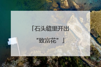 石头缝里开出“致富花”