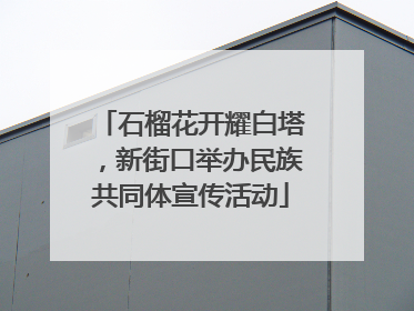 石榴花开耀白塔，新街口举办民族共同体宣传活动