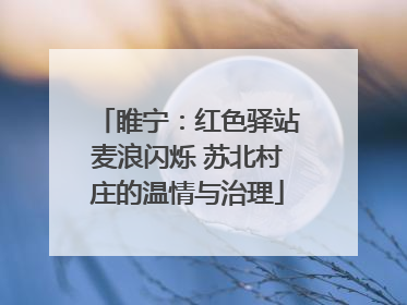 睢宁：红色驿站麦浪闪烁 苏北村庄的温情与治理