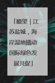 瞭望｜江苏盐城，海岸湿地撬动国际绿色发展共促