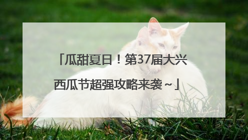 瓜甜夏日！第37届大兴西瓜节超强攻略来袭～